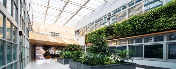 Building/Facility Maintenance
